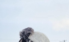 女网红洗澡忘关播不慎走光